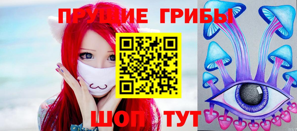 Орск  Псилоцибиновые грибы MAGIC MUSHROOMS  Вход с VPN  Псилоцибиновые грибы ЛСД 