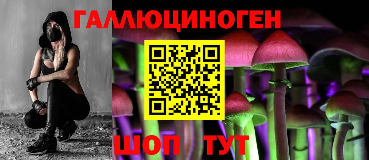 Псилоцибиновые грибы Psilocybe Орск
